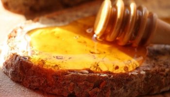 La Parola di Dio: se accolta e attuata sembra molto amara, ma poi diventa liberante e dolce più del miele