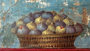 Gesù cerca i fichi anche fuori stagione (di Gianfranco Ravasi)