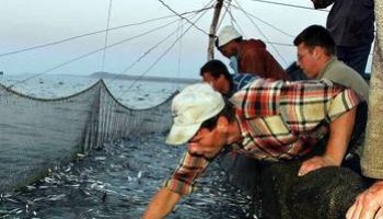 LE PARABOLE DEL REGNO 6: LA RETE (Matteo 13.47-50)